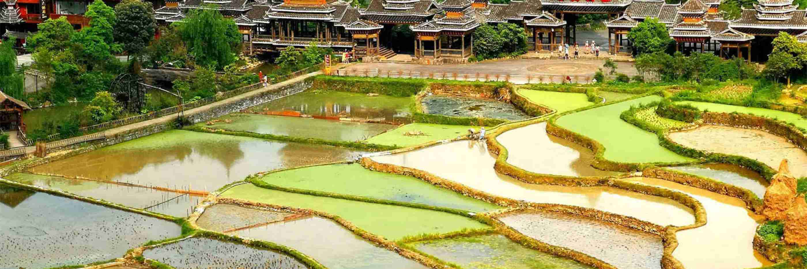 ZhaoXing terraces Tour