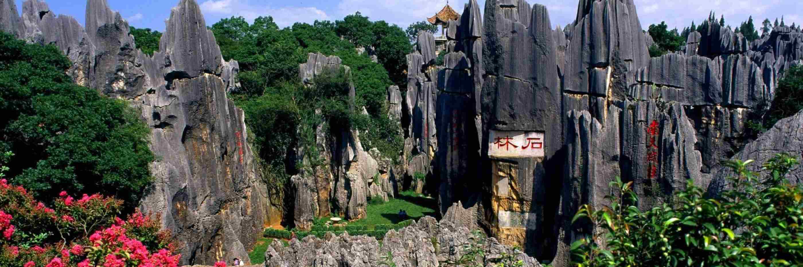 Yunnan  Stone Forest tour trip