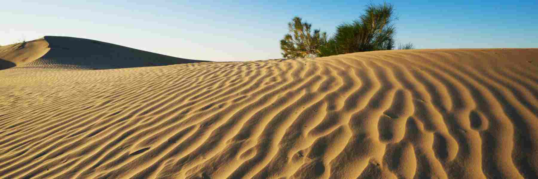 Gurbantunggut Desert&nbsp;