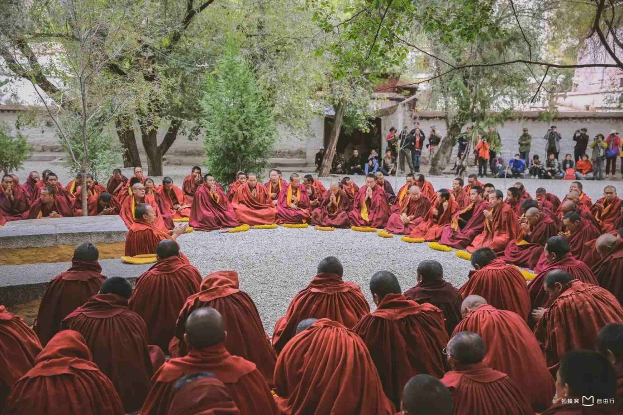 Sera Monastery Tour