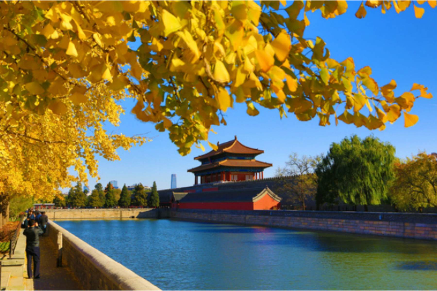 Beijing travel agency