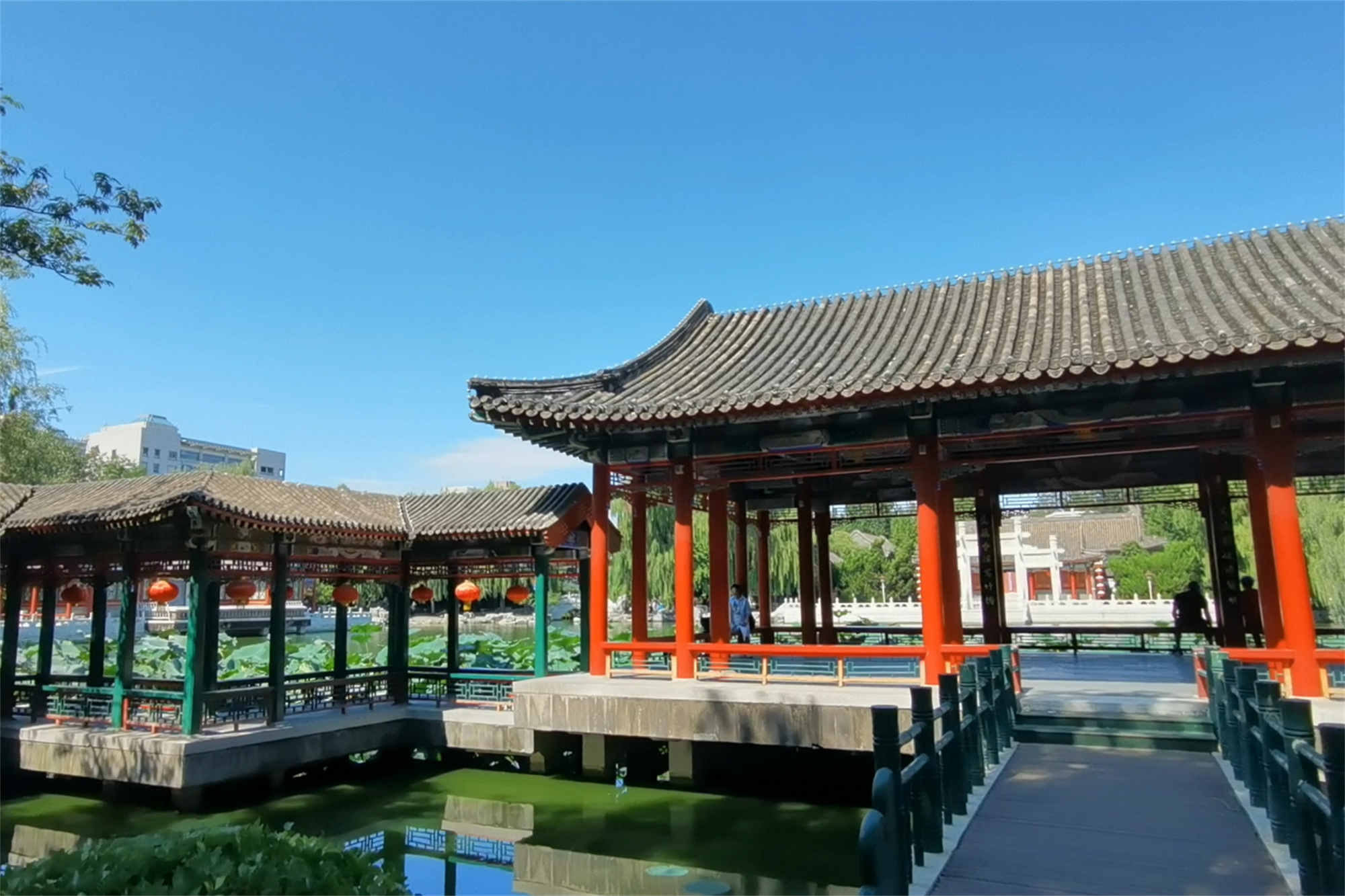 Beijing Daguan Garden Beijing tour guide private travel laocal tavel agency