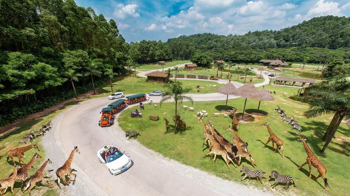 Chimelong Safari Park Guang zhou tour guide private travel local tavel agency tour guide